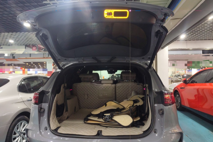 BYD Tang New Energy 2025 car image #21