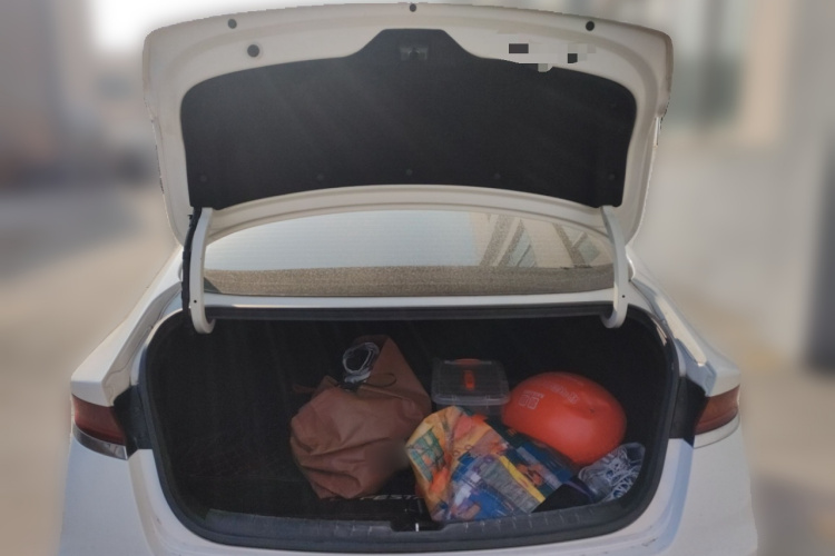 Hyundai Lafesta 2019 car image #21