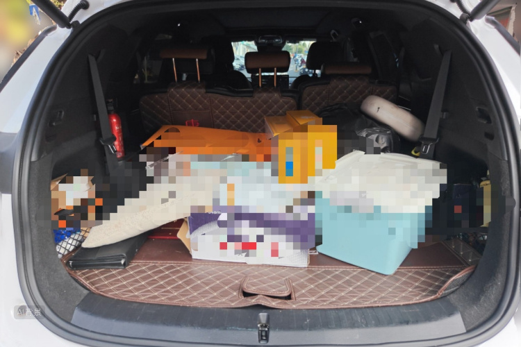 BYD Tang New Energy 2021 car image #21