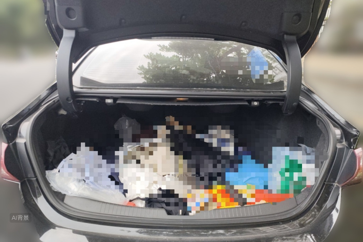 Chevrolet Malibu XL 2020 car image #21