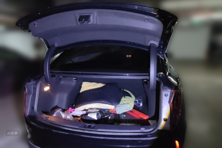 HongQi E-QM5 2023 immagine di auto #21