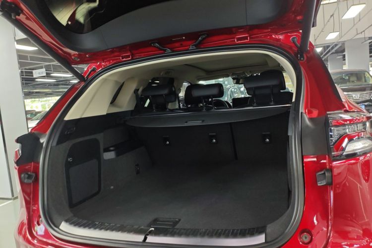 BYD Tang New Energy 2019 car image #21