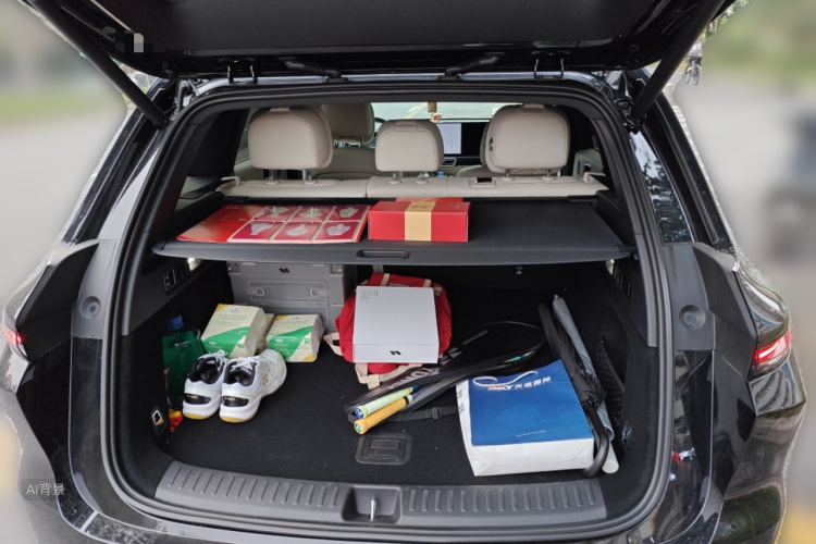 Li L6 2025 image de voiture #21