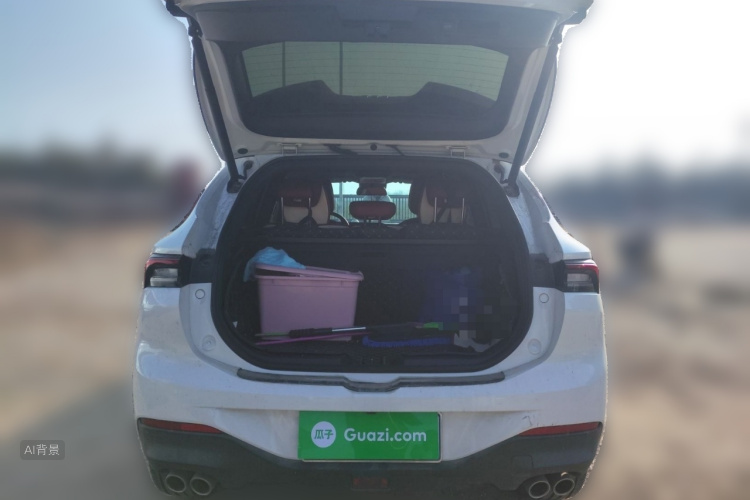 Forthing T5 EVO 2021 car image #21