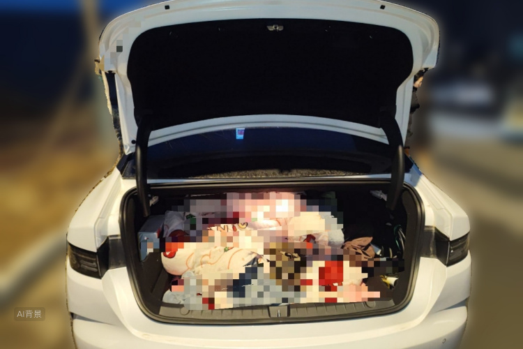 BYD Destroyer 05 2024 car image #21