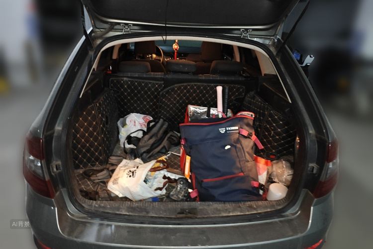 斯柯达 明锐 2017 汽车图片 #21