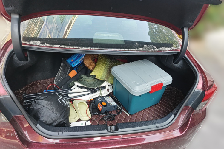 Toyota Reiz 2015 immagine di auto #21