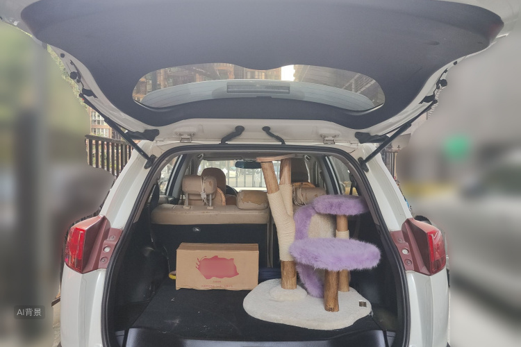 Toyota RAV4 2015 car image #21