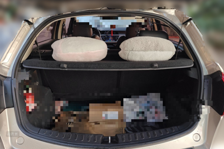 Vision X3 2019 #21 Vision X3 2019 car image #21