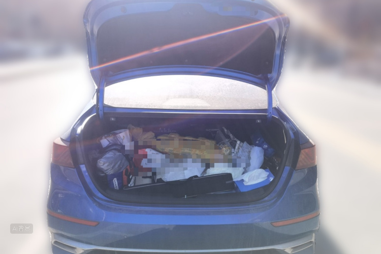 Kia K3 2020 car image #21