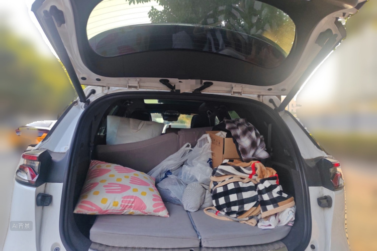 BYD Tang New Energy 2020 car image #21