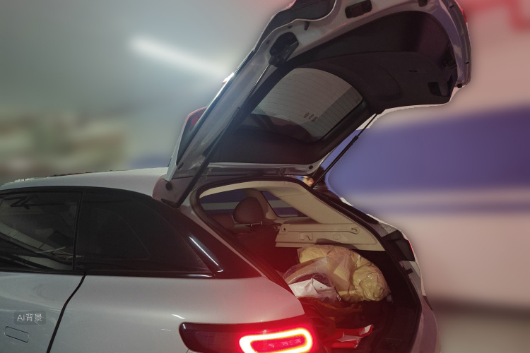 零跑汽车 零跑C11 2023 汽车图片 #21