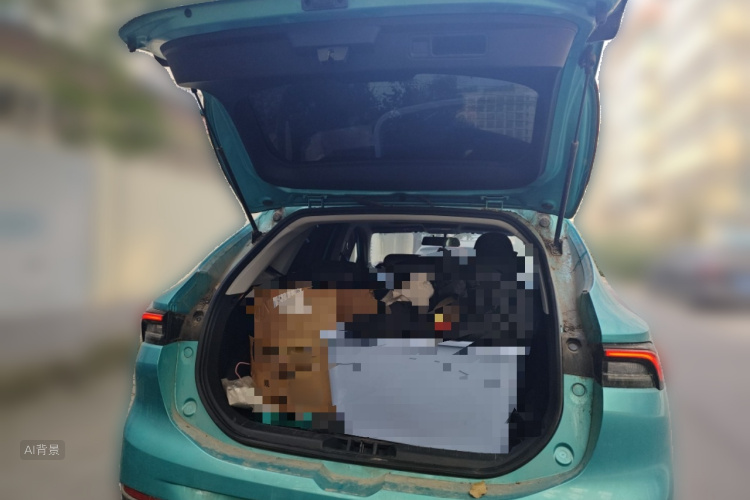 T5 EVO 2021 car image #21