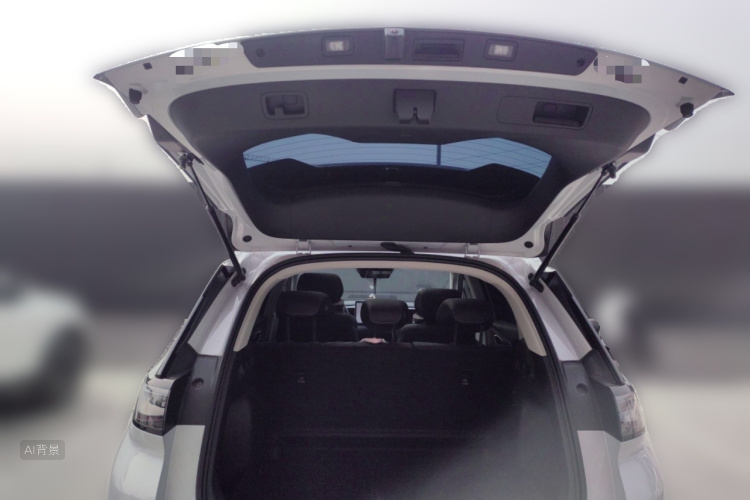 BYD Sea Lion 05 EV 2025 car image #21