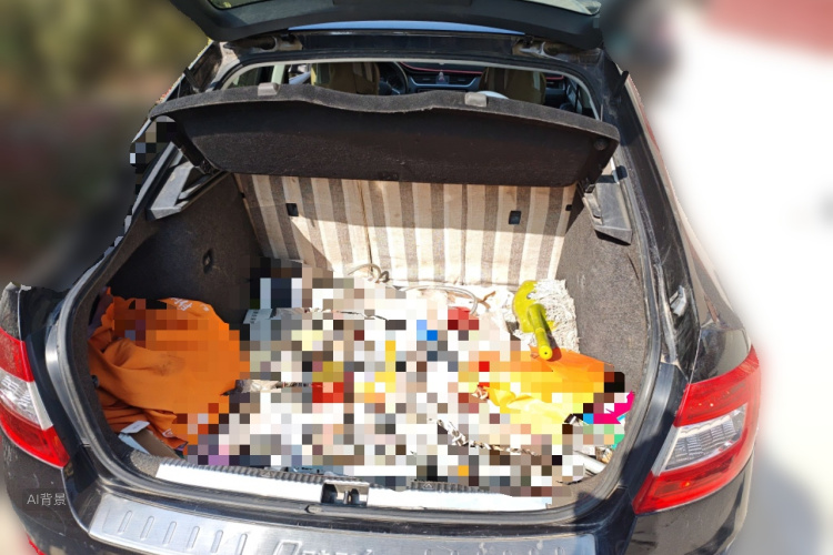 Skoda Octavia 2017 car image #21