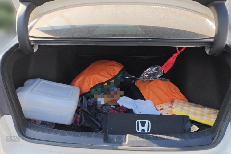 Honda Civic 2024 car image #21