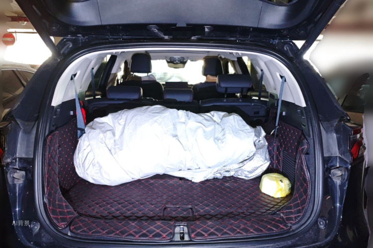 BYD Tang New Energy 2018 car image #21