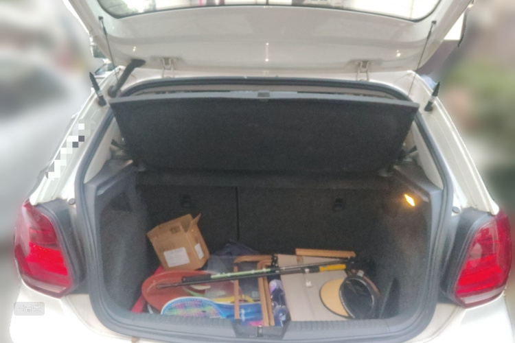 Polo 2016 car image #21
