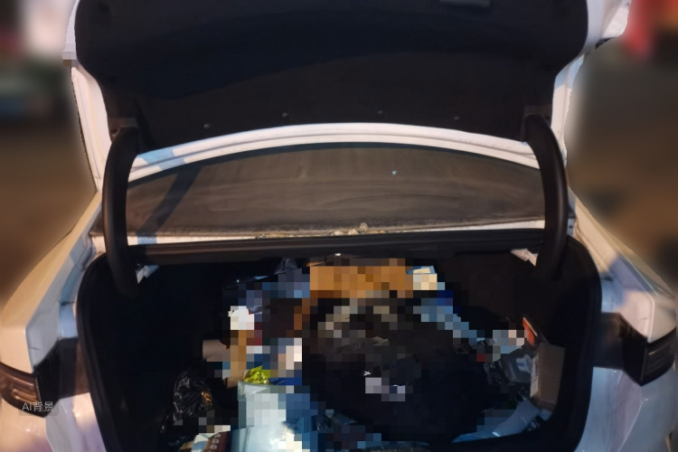 BYD Destroyer 05 2023 car image #21