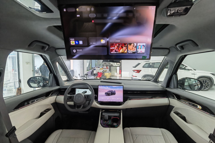 极氪 极氪009 汽车图片 #21