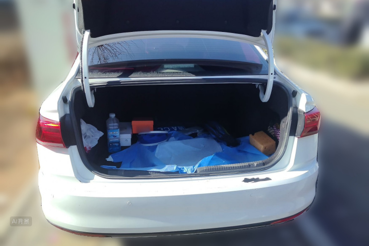 Volkswagen Bora 2020 car image #21