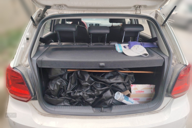 Polo 2015 car image #21
