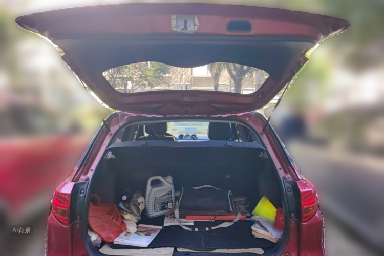 Suzuki Vitara 2016 image de voiture #21