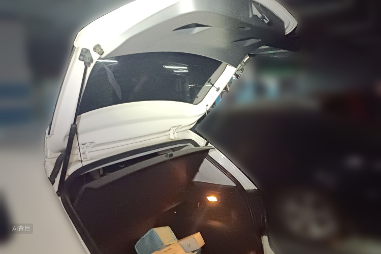 Polo 2017 car image #21