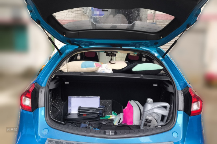 Vision X3 2018 car image #21
