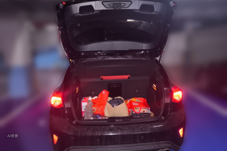 Ford Focus 2019 car image #21