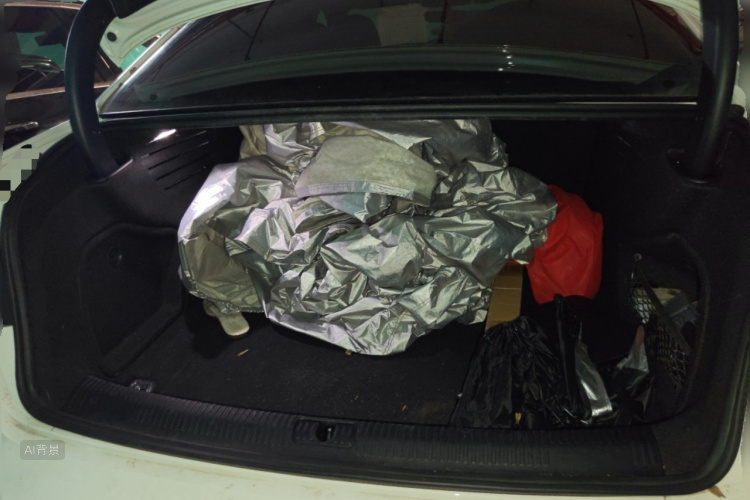 Audi A4L 2020 car image #21