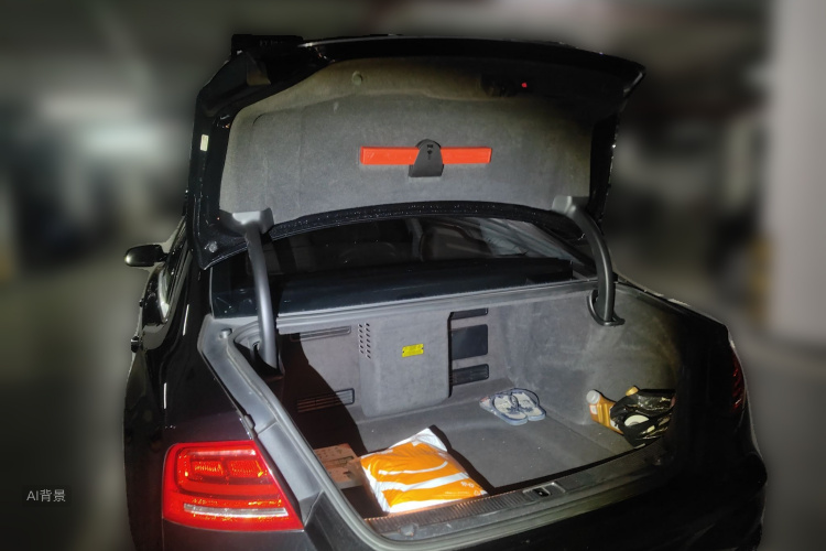 Audi A8 2014 imagen de coche #21