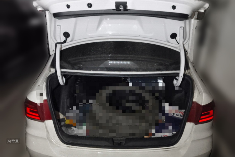 Santana 2021 car image #21