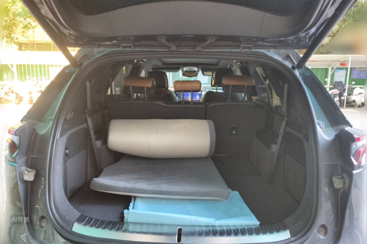 BYD Tang New Energy 2021 car image #21