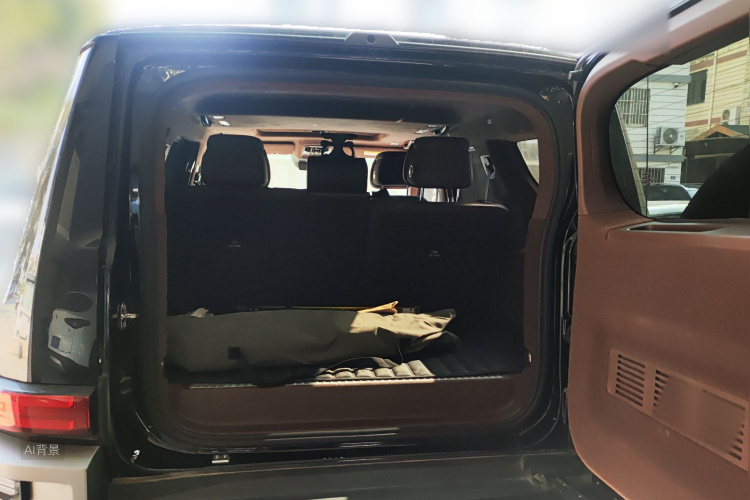 Tank 700 New Energy 2024 #21 Tank 700 New Energy 2024 car image #21