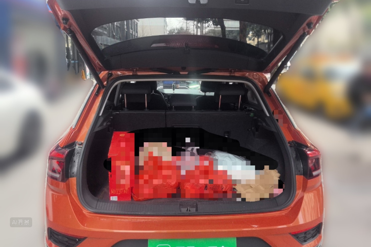 T-Roc 2019 car image #21