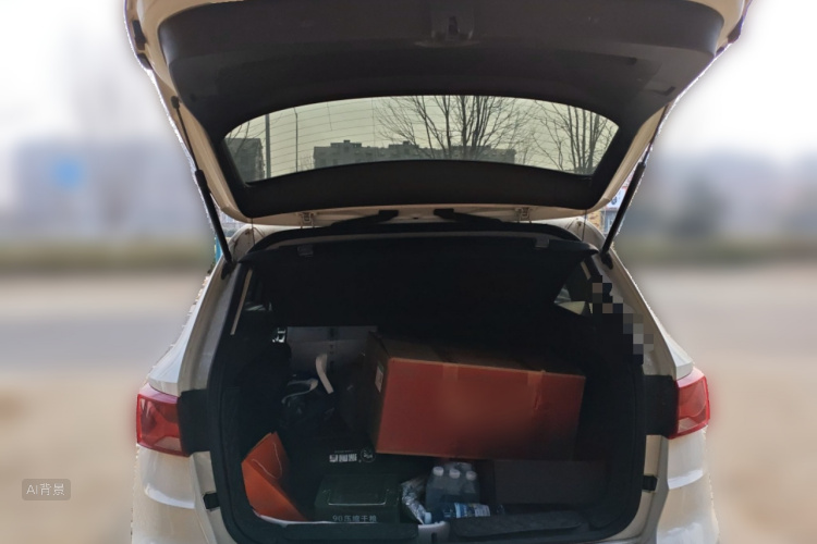 VS5 2019 car image #21