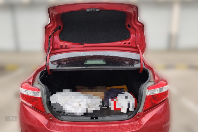 Vios 2015 immagine di auto #21