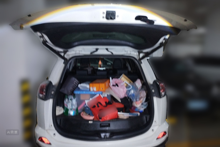 Toyota RAV4 2018 car image #21