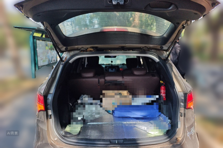 Hyundai Santa Fe 2014 #21 Hyundai Santa Fe 2014 immagine di auto #21