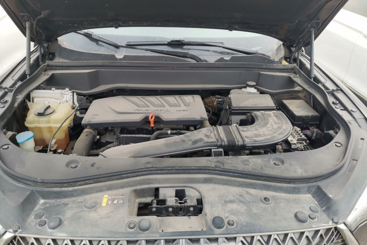 Haval F7x 2020 car image #21