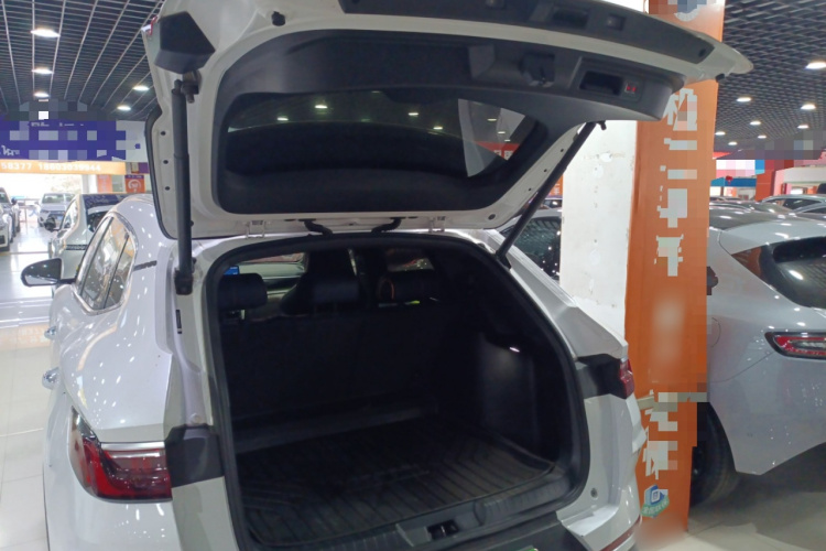 BYD Song Plus New Energy 2021 #21 BYD Song Plus New Energy 2021 car image #21