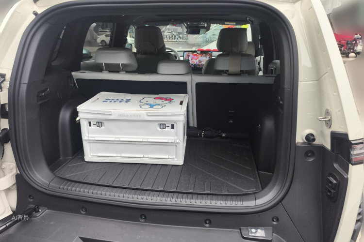 FangChengBao Tiger 3 2025 car image #21