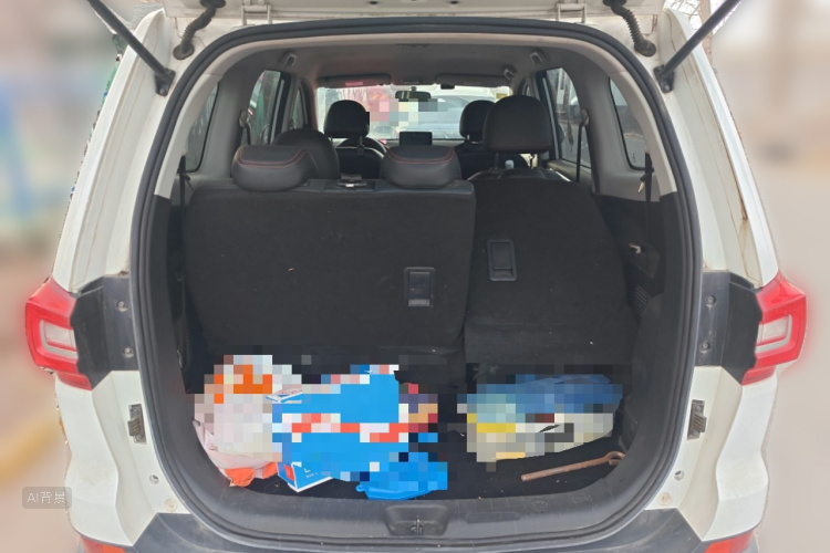 Forthing SX6 2019 car image #21