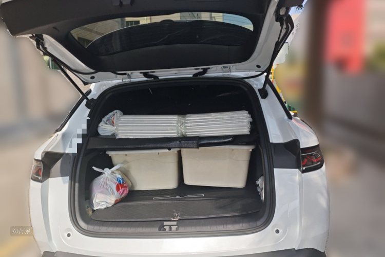 BYD SongL DM-i 2025 car image #21