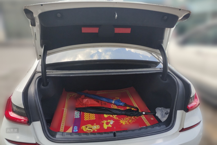 BMW 3 Series 2021 car image #21