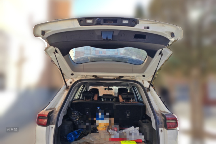 Chery Tiggo 8 2020 car image #21