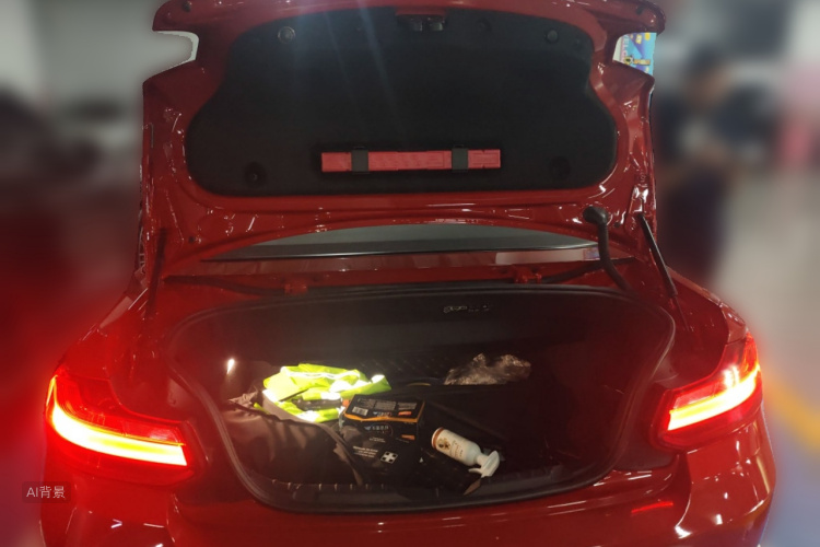 BMW 2 Series (Imported) 2017 imagen de coche #21