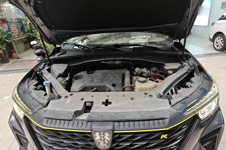 Roewe RX5 New Energy 2022 изображение автомобиля #21