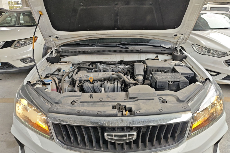 Emgrand 2022 car image #21